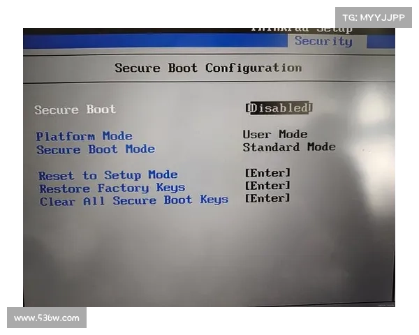 联想中文BIOS如何启用TPM功能 联想中文BIOS如何启用TPM功能