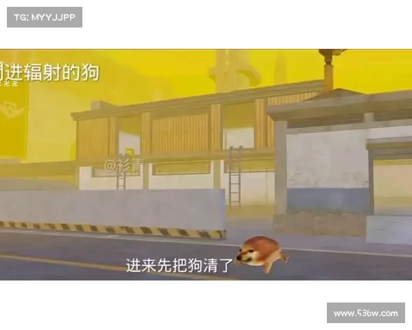 躲避辐射区的狗狗攻击：安全指南